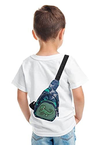 Buy Cute Children Sling Bag Small Cartoon Dinosaur Crossbody Shoulder Bag Coin Purse Waist Backpack Nylon for kid 1-5-Gray from bestipro