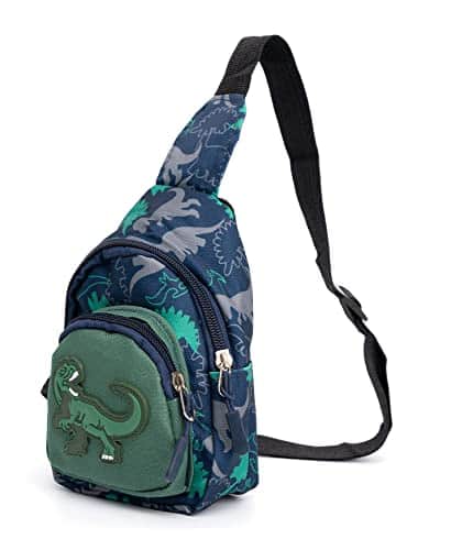 Buy Cute Children Sling Bag Small Cartoon Dinosaur Crossbody Shoulder Bag Coin Purse Waist Backpack Nylon for kid 1-5-Gray from bestipro