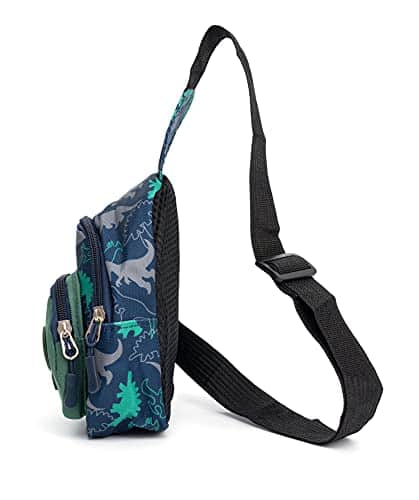 Buy Cute Children Sling Bag Small Cartoon Dinosaur Crossbody Shoulder Bag Coin Purse Waist Backpack Nylon for kid 1-5-Gray from bestipro