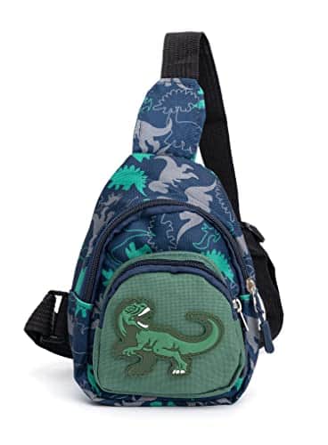 Buy Cute Children Sling Bag Small Cartoon Dinosaur Crossbody Shoulder Bag Coin Purse Waist Backpack Nylon for kid 1-5-Gray from bestipro